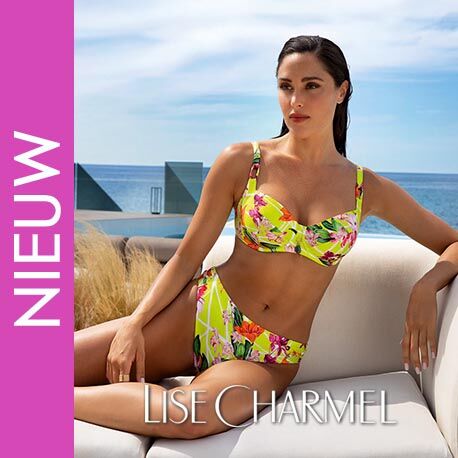 Fleurs Splendeur Fleurs Splendeur